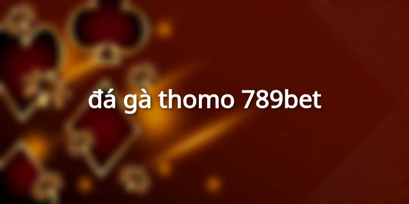 đá gà thomo 789bet