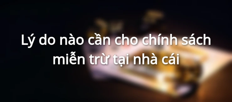 Lý do cần thực thi miễn trừ trách nhiệm tại