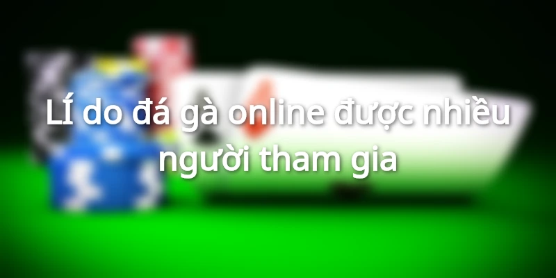 Vì sao đá gà online được nhiều người chơi