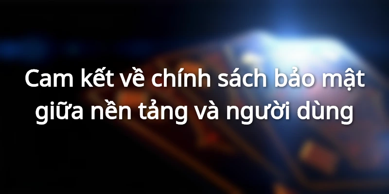 Thành viên cũng cần tuân thủ một vài điều kiện nhất định ở website