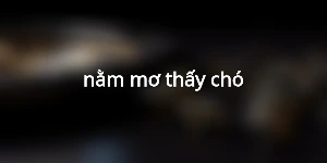 nằm mơ thấy chó