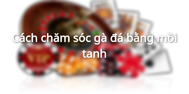 Mồi tanh là nhóm thực phẩm không thể bỏ qua khi nuôi chiến kê