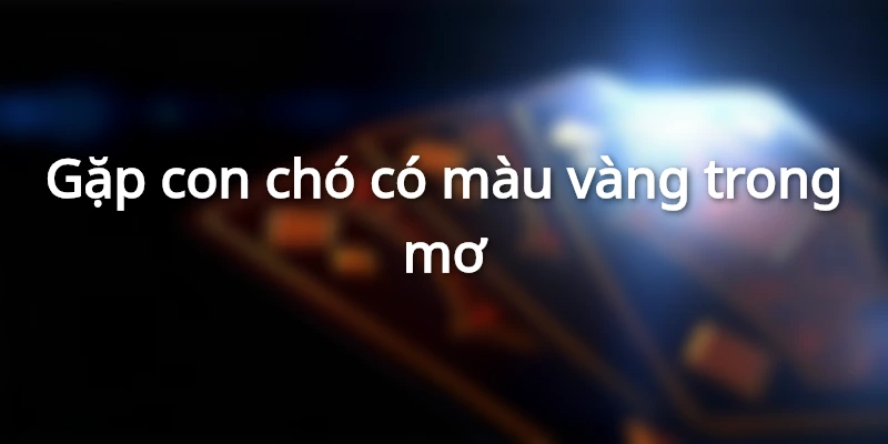 Mơ thấy chó màu vàng